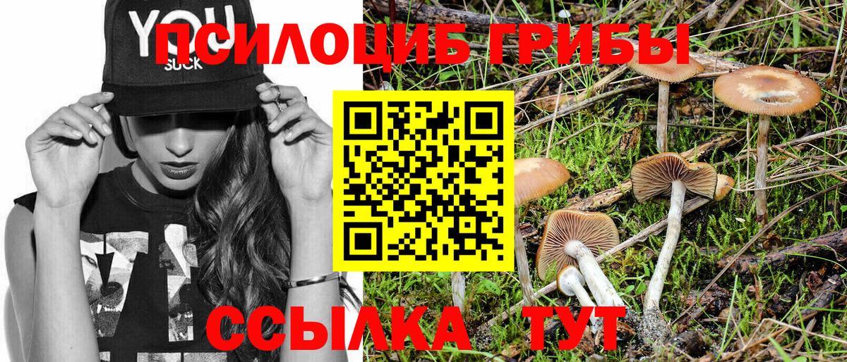 Псилоцибиновые грибы Magic Shrooms Сальск