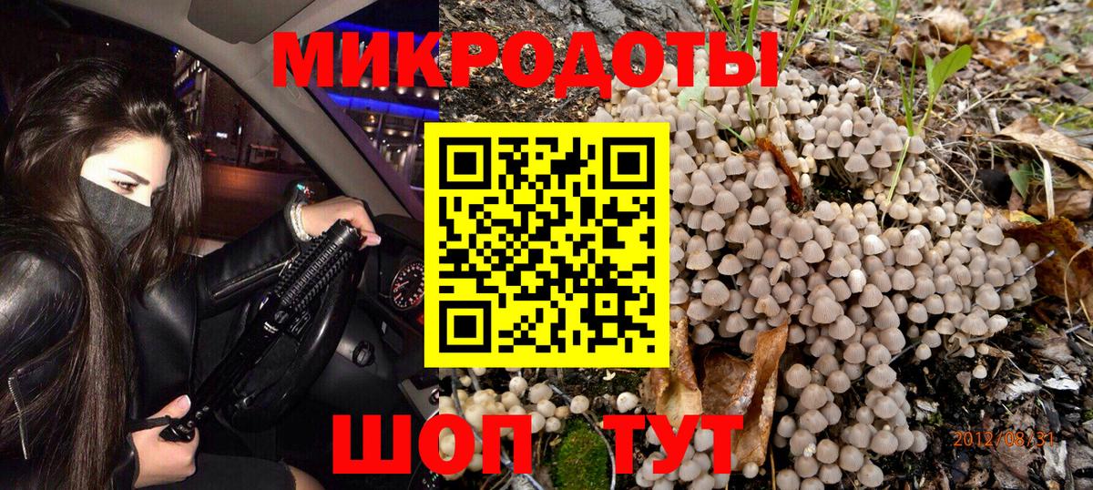 Псилоцибиновые грибы Psilocybe  Псилоцибиновые грибы прущие грибы  Сальск  Вход с VPN 