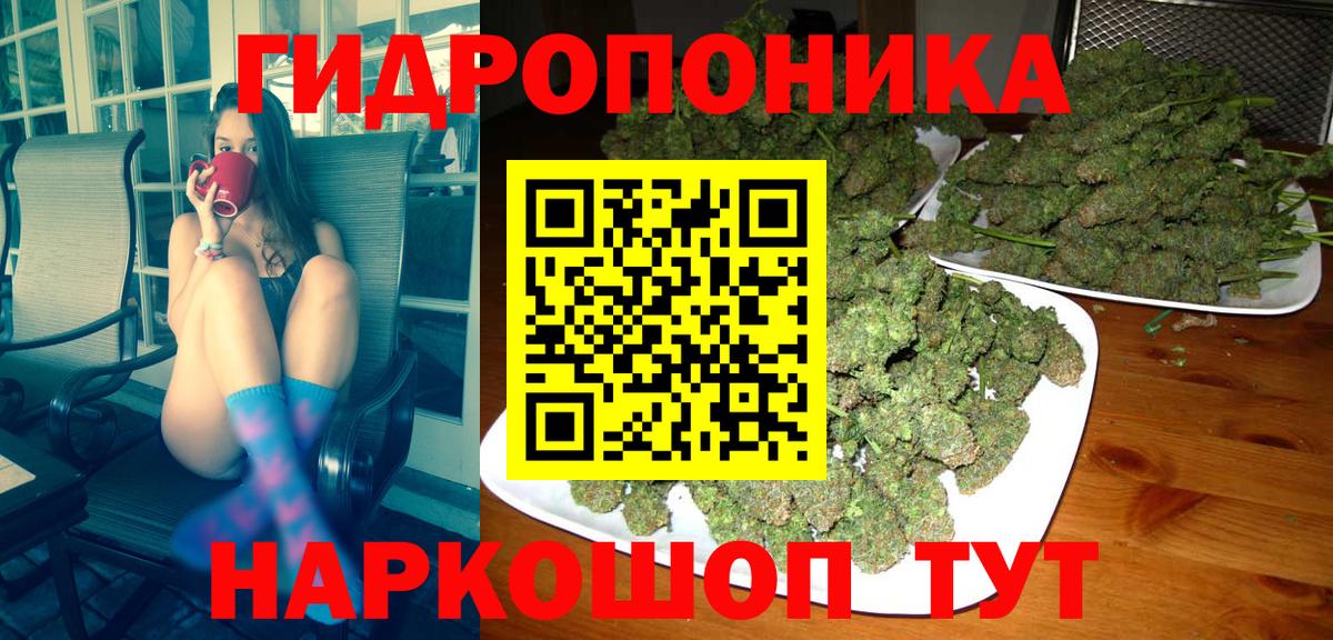 Бошки марихуана VHQ Сальск